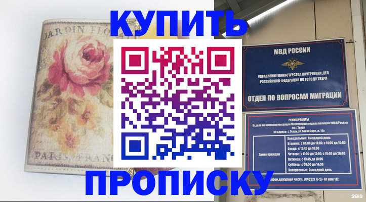 прописка паспорт в Новгородской области